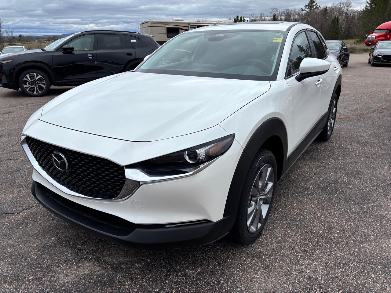 2025 Mazda CX-30 GS 4dr i-ACTIV All-Wheel Drive Sport Utility Photo0