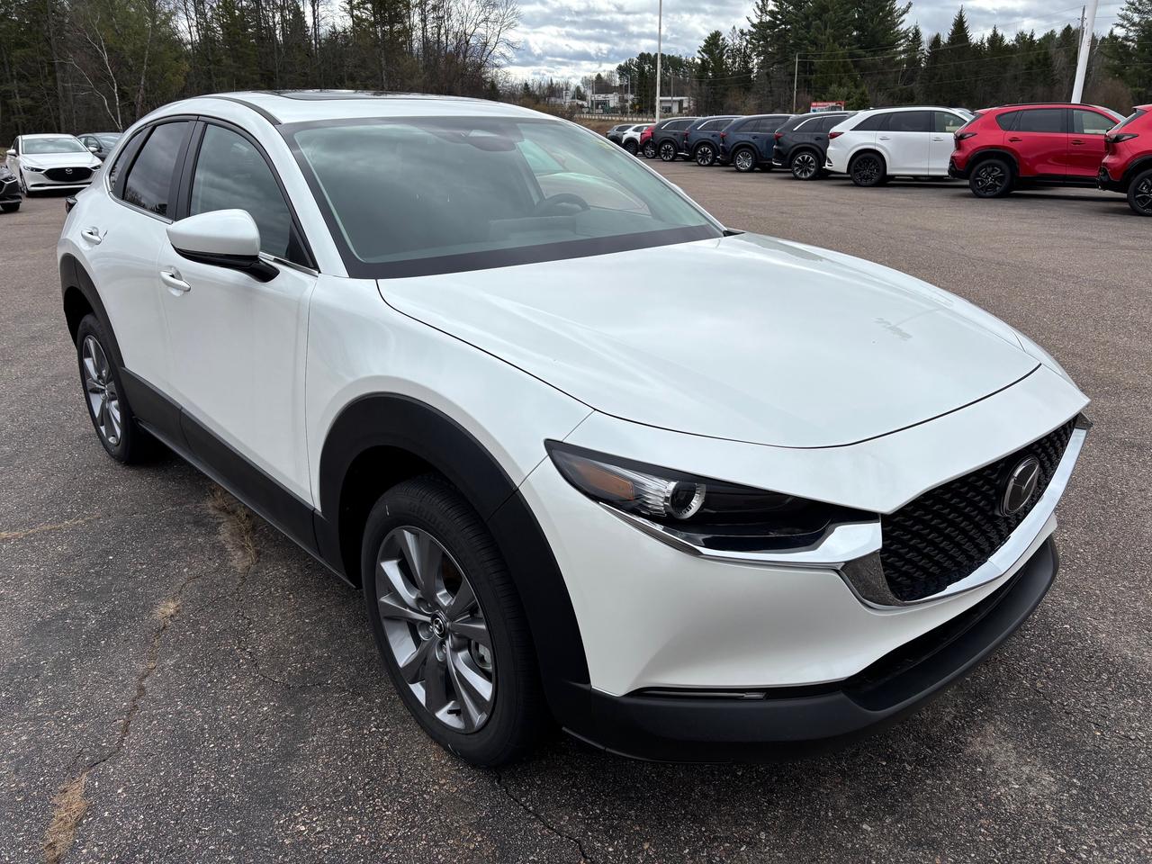 2025 Mazda CX-30 GS 4dr i-ACTIV All-Wheel Drive Sport Utility Photo