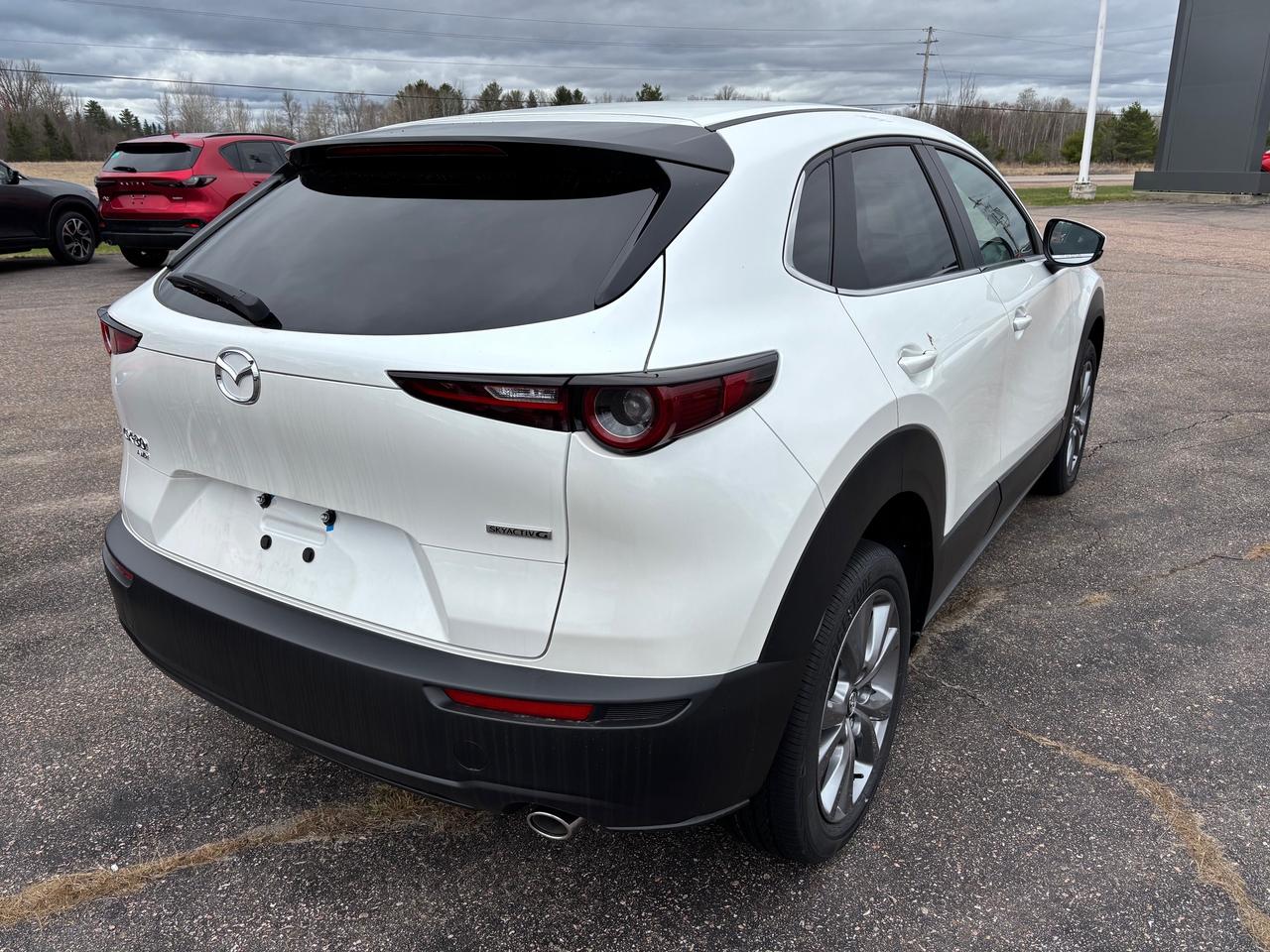2025 Mazda CX-30 GS 4dr i-ACTIV All-Wheel Drive Sport Utility Photo