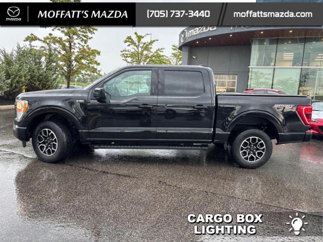 2022 Ford F-150 XLT Photo