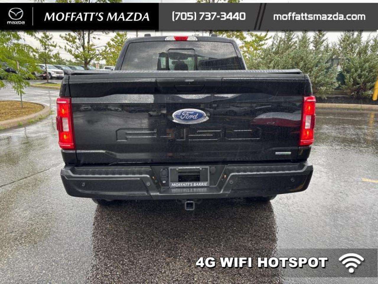 2022 Ford F-150 XLT Photo