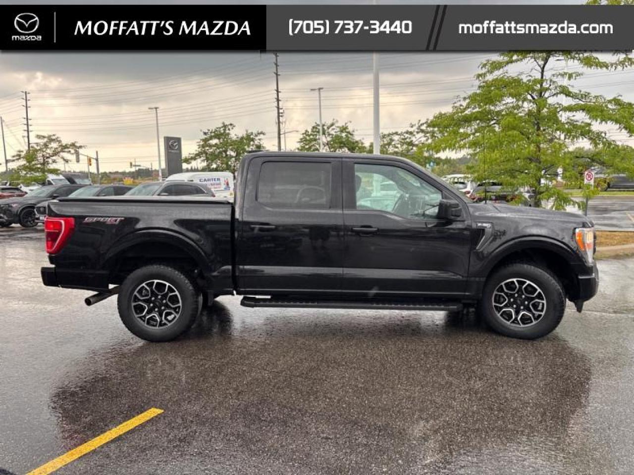 2022 Ford F-150 XLT Photo