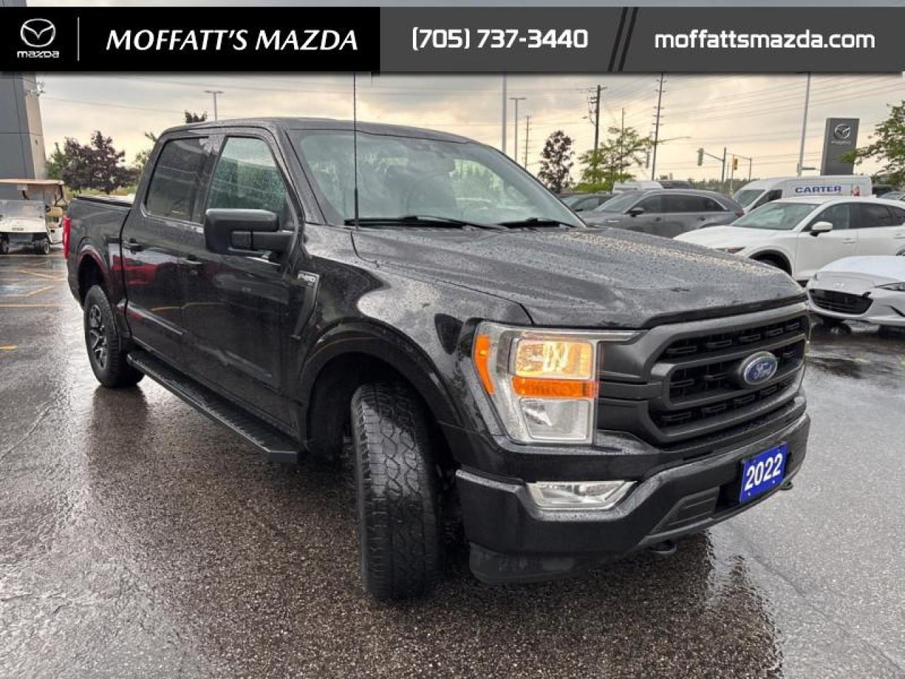 2022 Ford F-150 XLT Photo