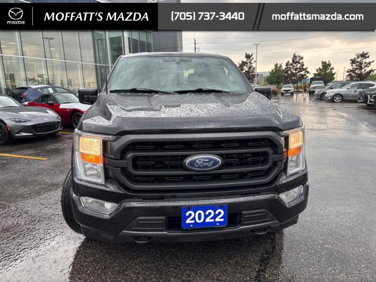 2022 Ford F-150 XLT Photo