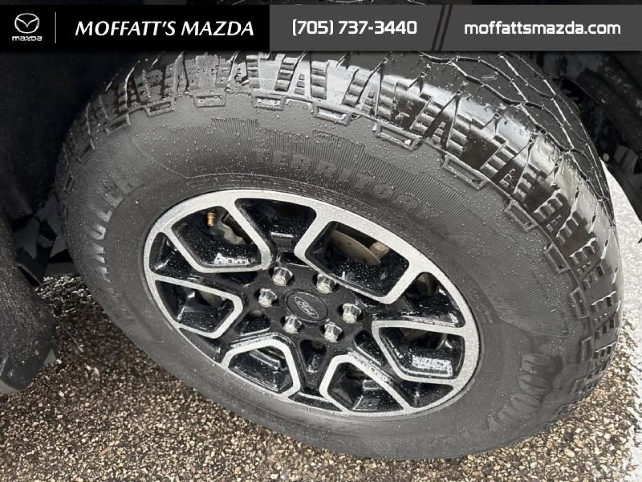 2022 Ford F-150 XLT Photo