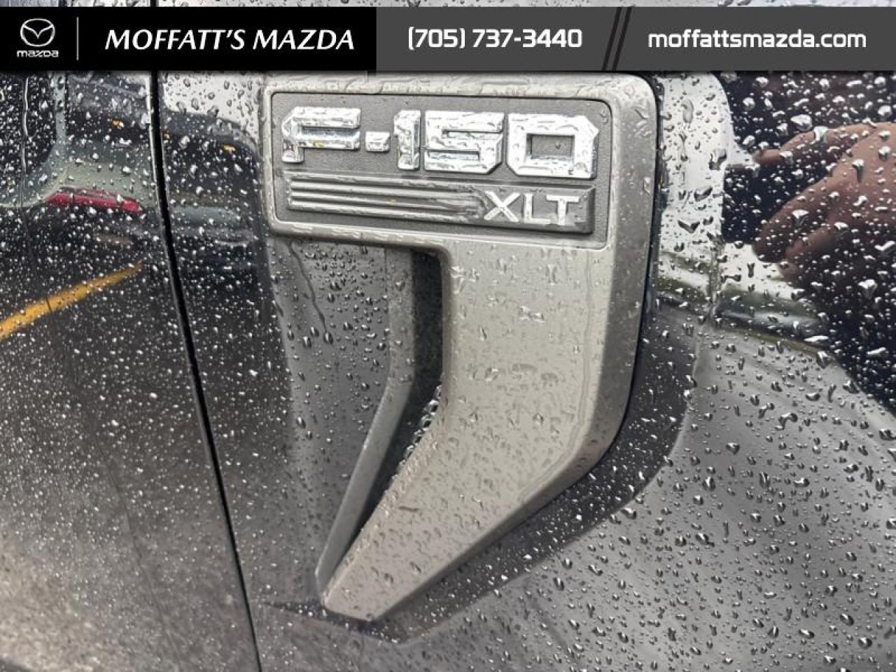 2022 Ford F-150 XLT Photo