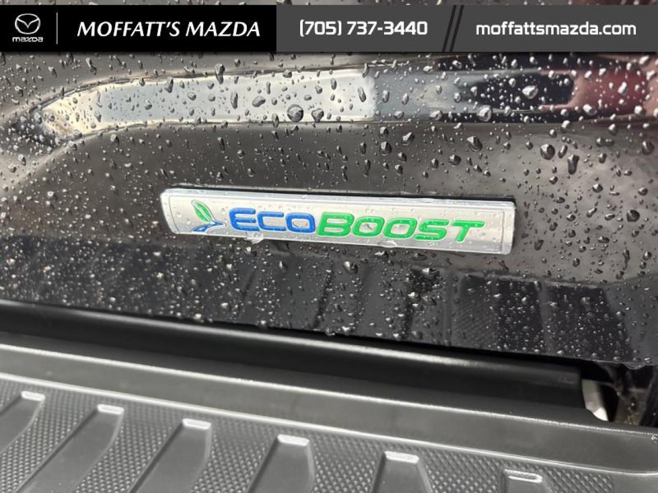 2022 Ford F-150 XLT Photo