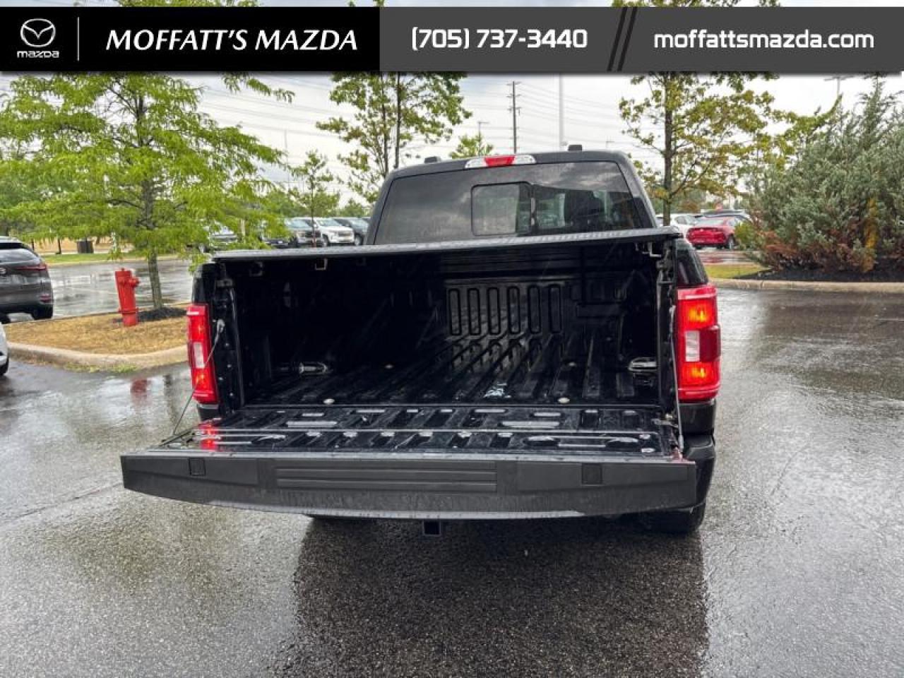 2022 Ford F-150 XLT Photo