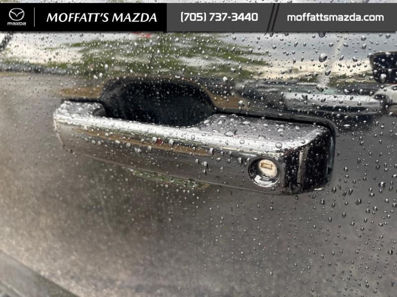 2022 Ford F-150 XLT Photo