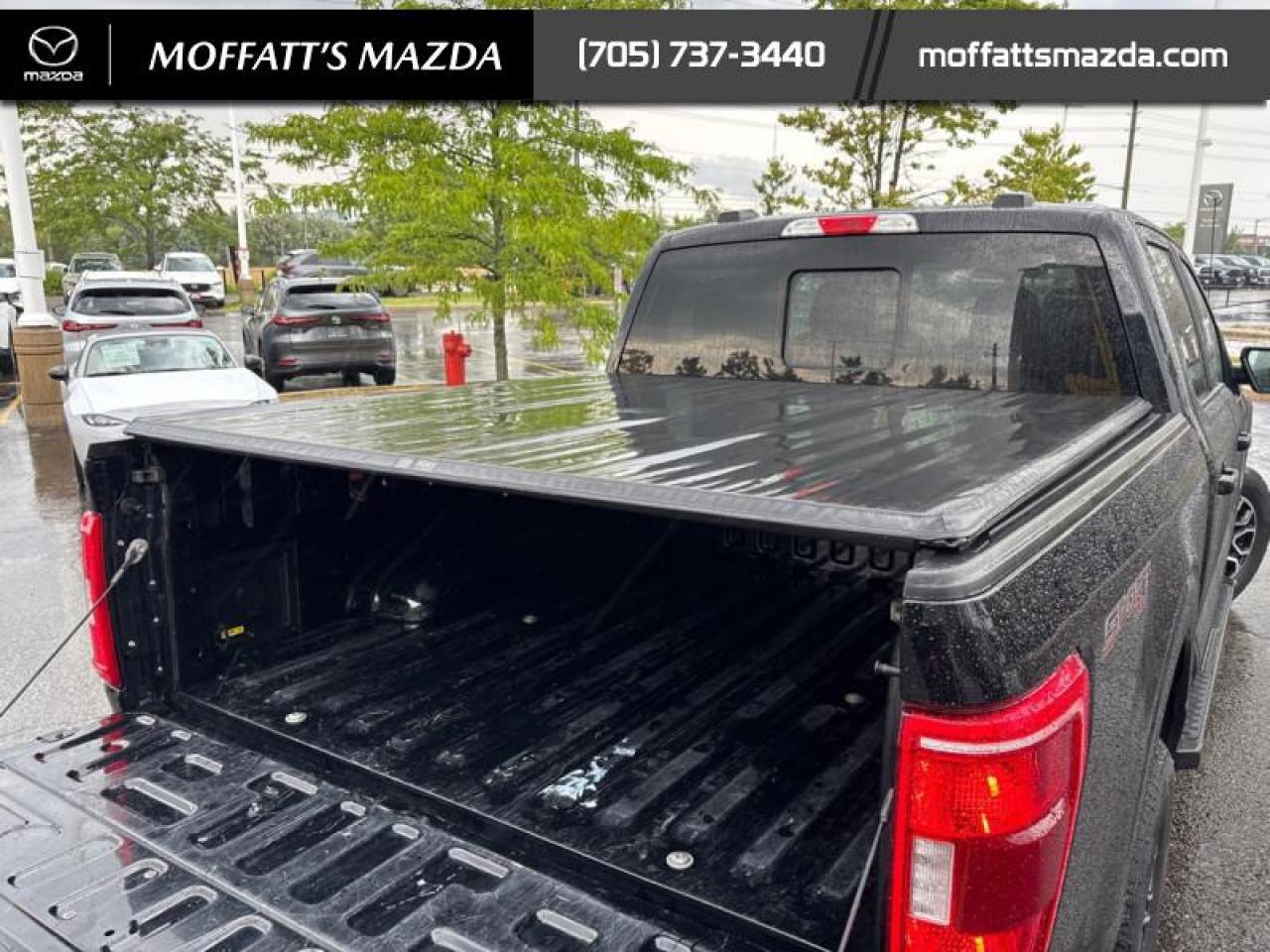 2022 Ford F-150 XLT Photo