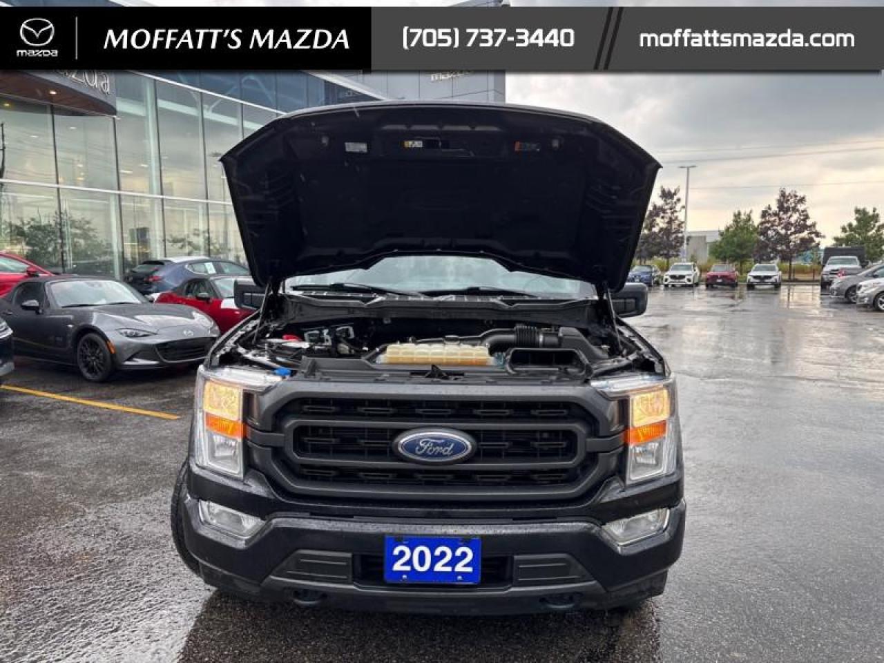 2022 Ford F-150 XLT Photo