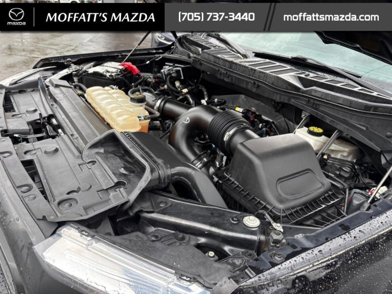 2022 Ford F-150 XLT Photo