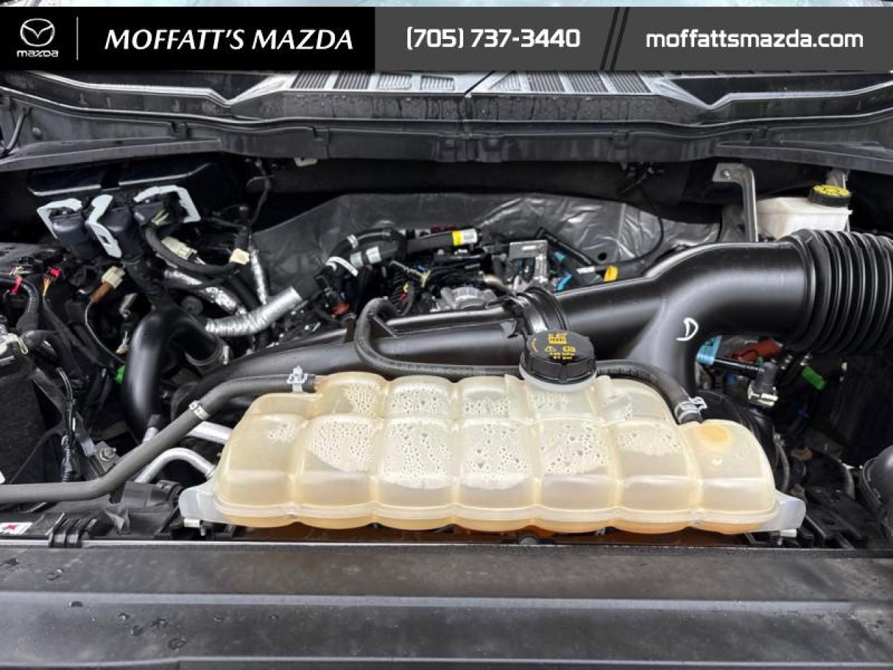 2022 Ford F-150 XLT Photo