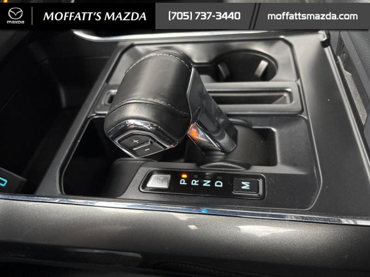 2022 Ford F-150 XLT Photo