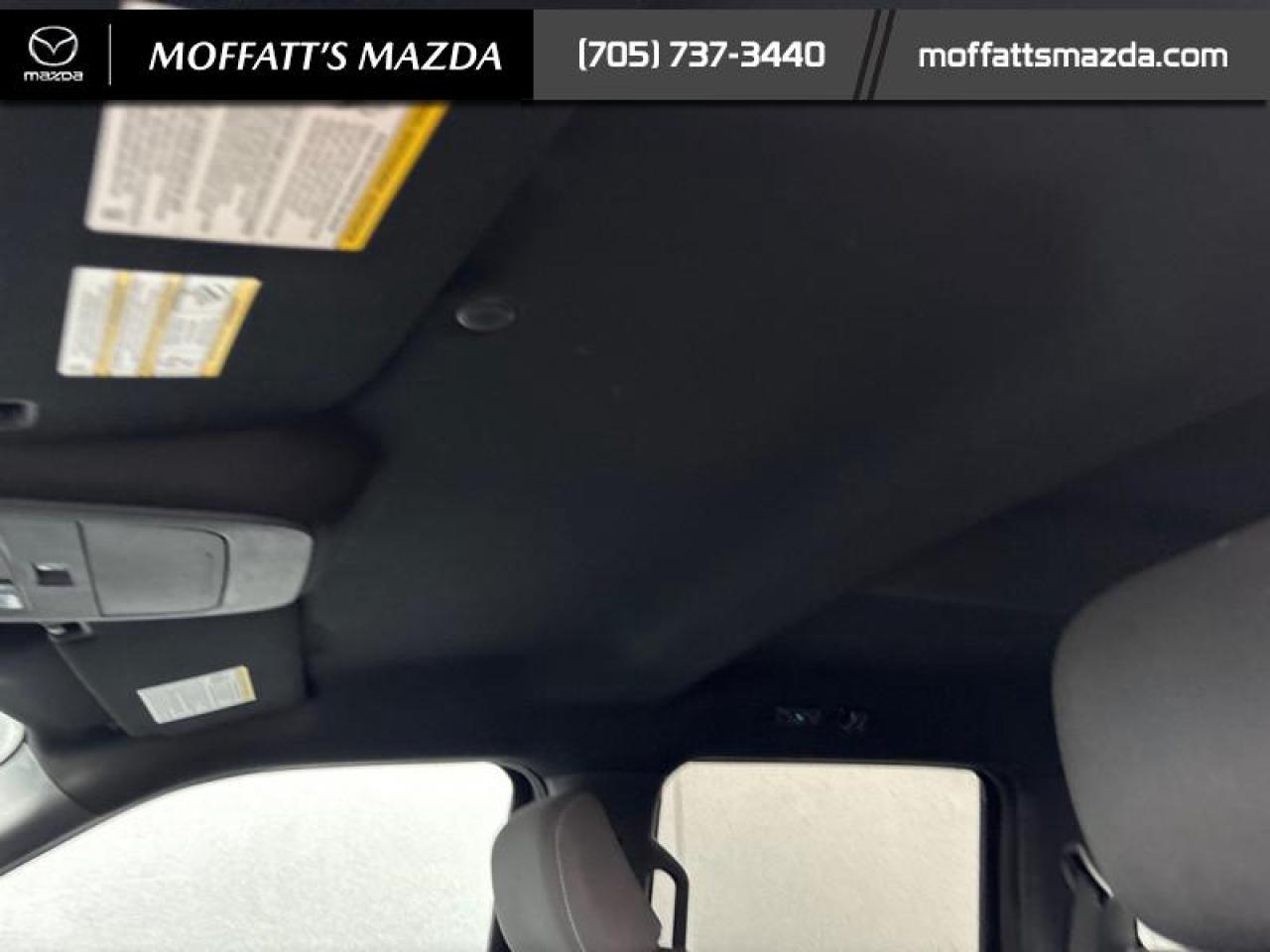 2022 Ford F-150 XLT Photo