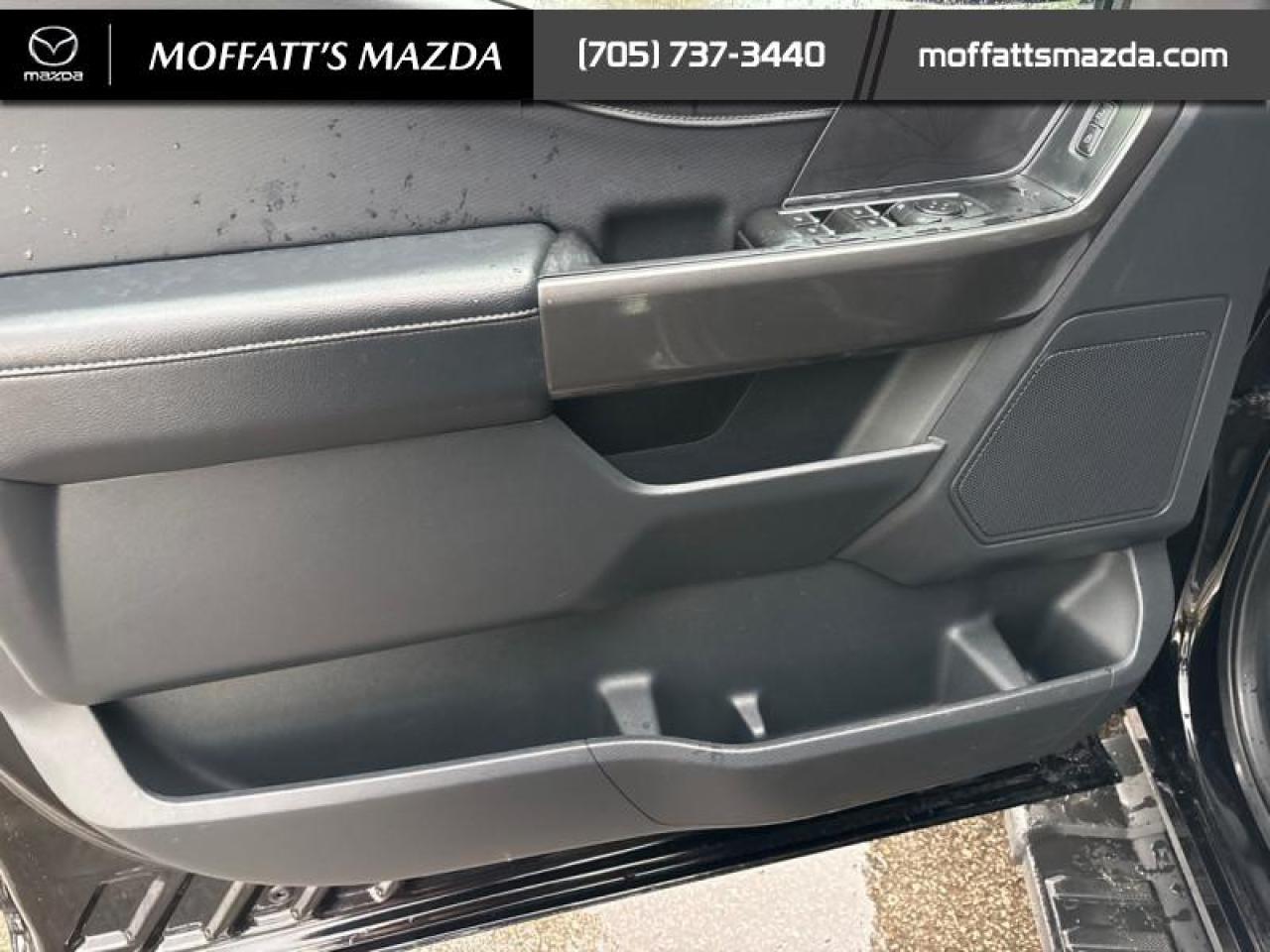 2022 Ford F-150 XLT Photo