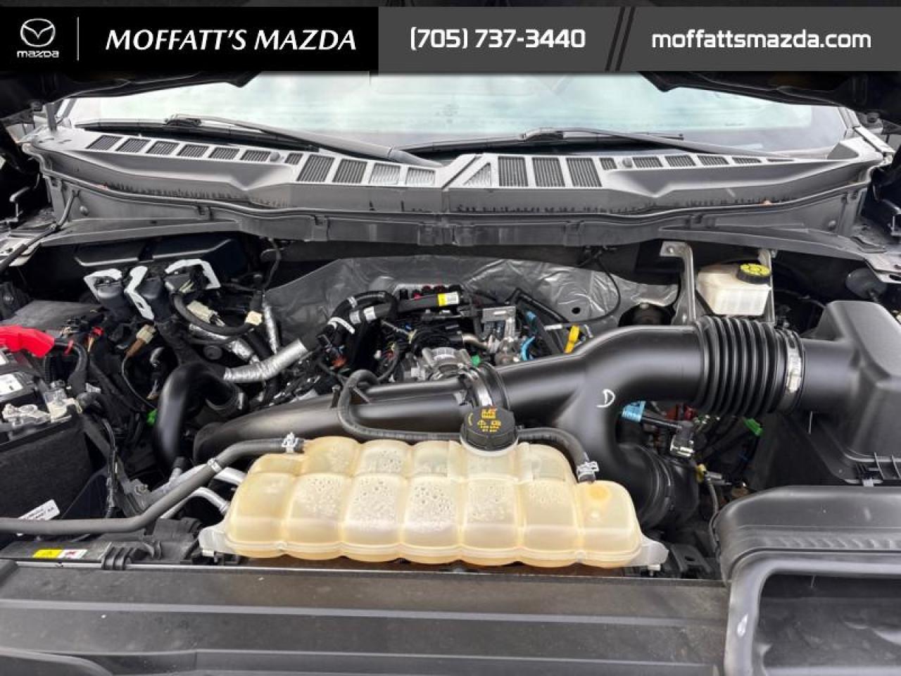 2022 Ford F-150 XLT Photo