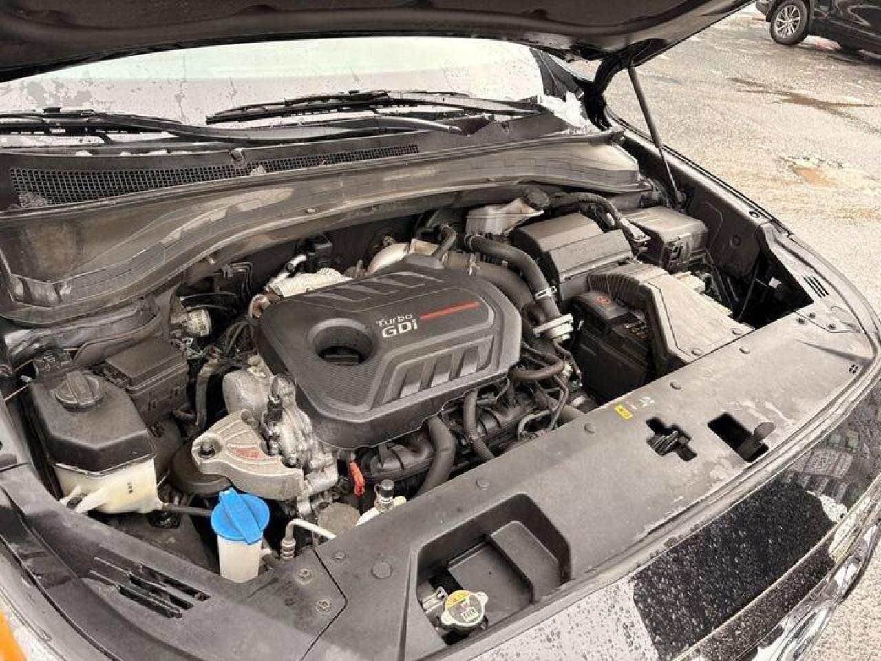 2019 Hyundai Santa Fe  Photo