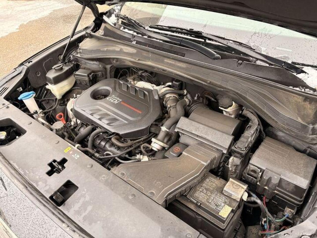 2019 Hyundai Santa Fe  Photo