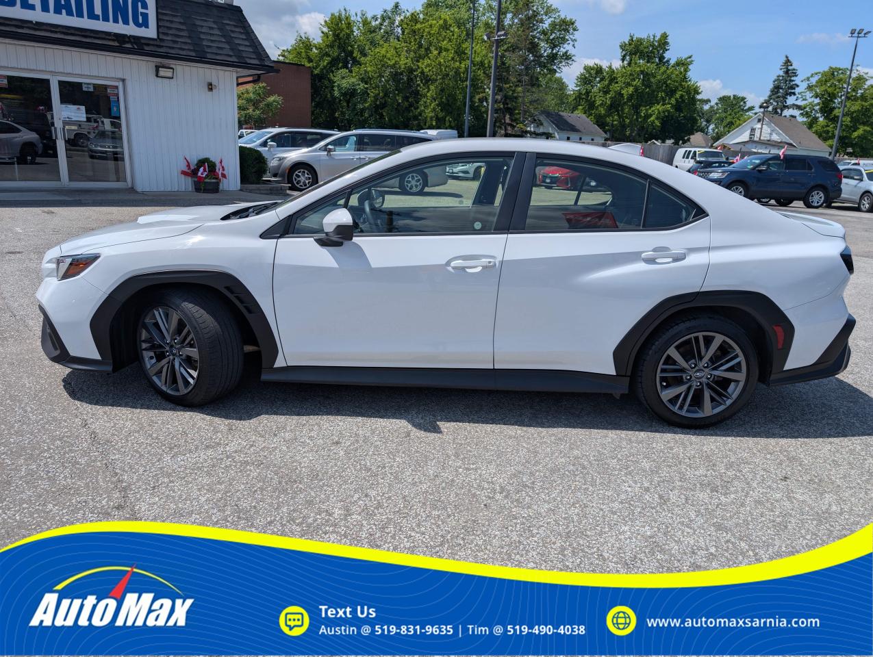 2023 Subaru WRX Base (M6) 4dr All-Wheel Drive Sedan Photo