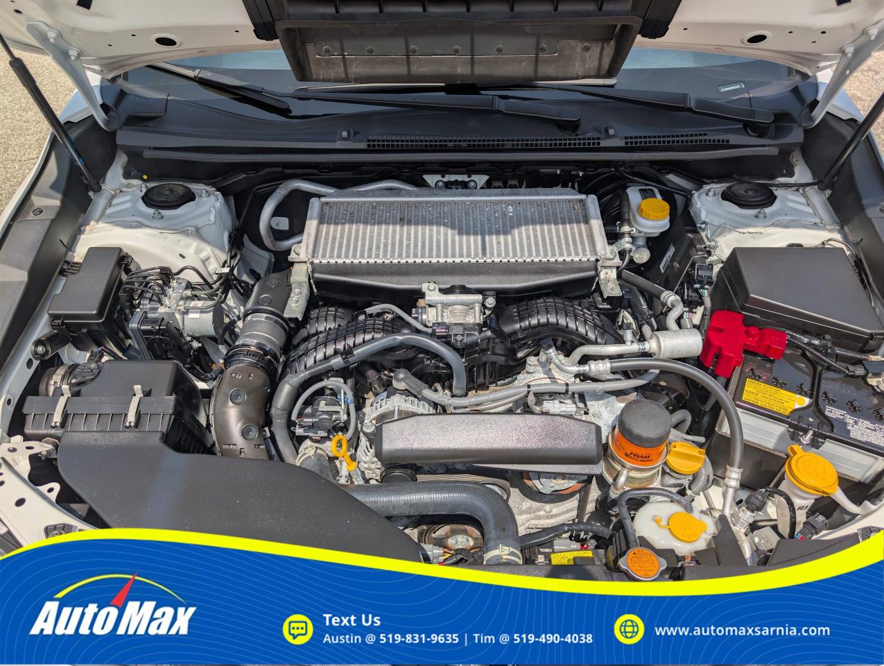 2023 Subaru WRX Base (M6) 4dr All-Wheel Drive Sedan Photo