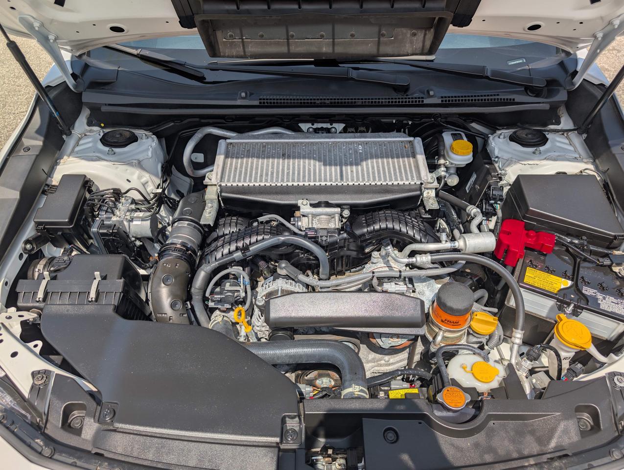 2023 Subaru WRX Base (M6) 4dr All-Wheel Drive Sedan Photo