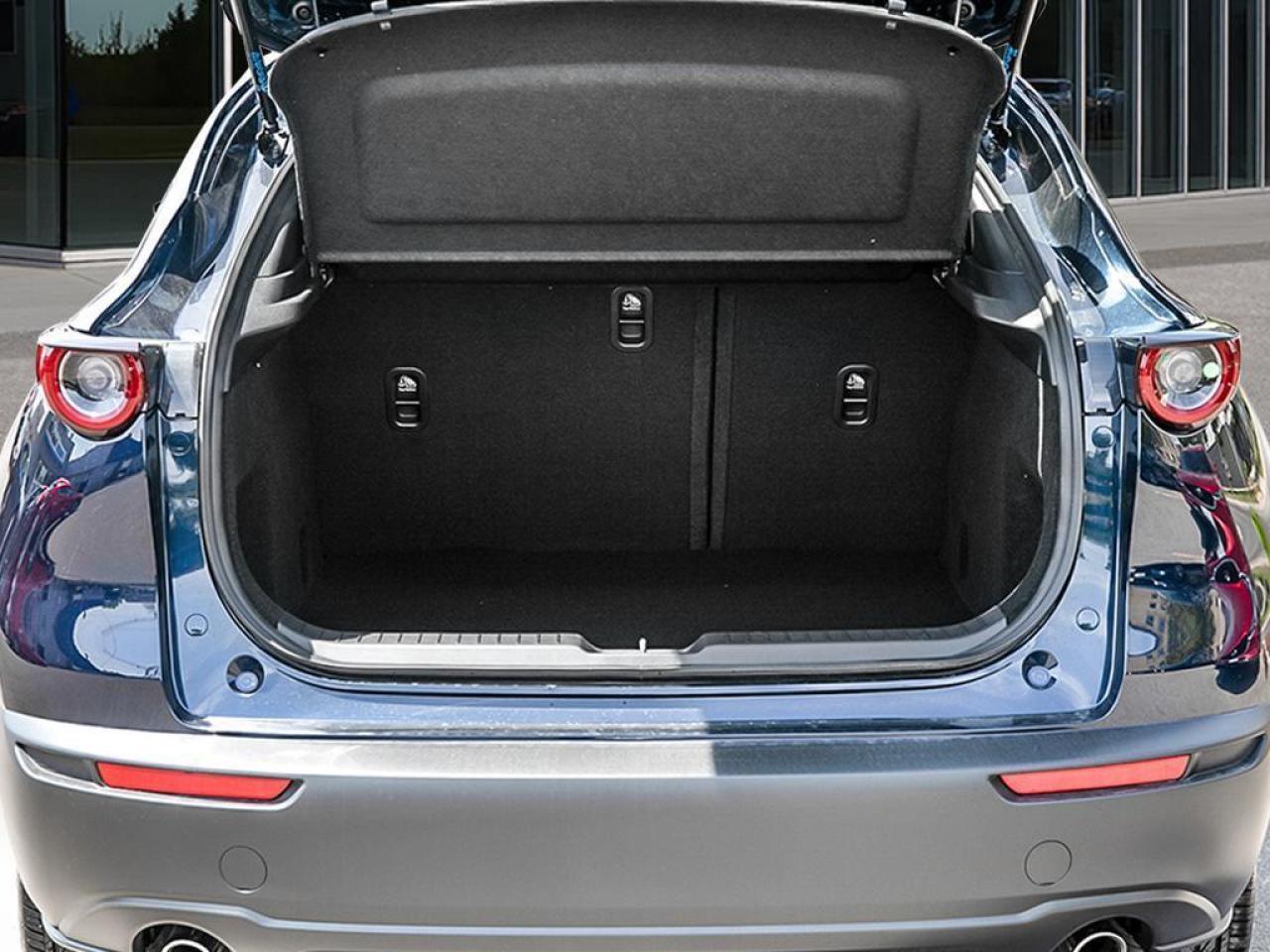 2025 Mazda CX-30 GX 4dr i-ACTIV All-Wheel Drive Sport Utility Photo