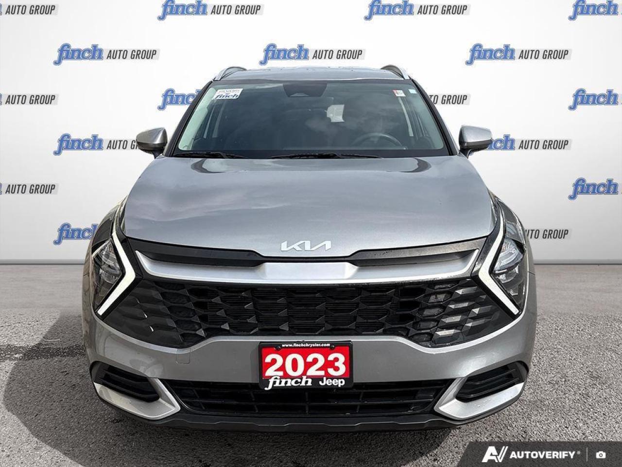 2023 Kia Sportage  Photo