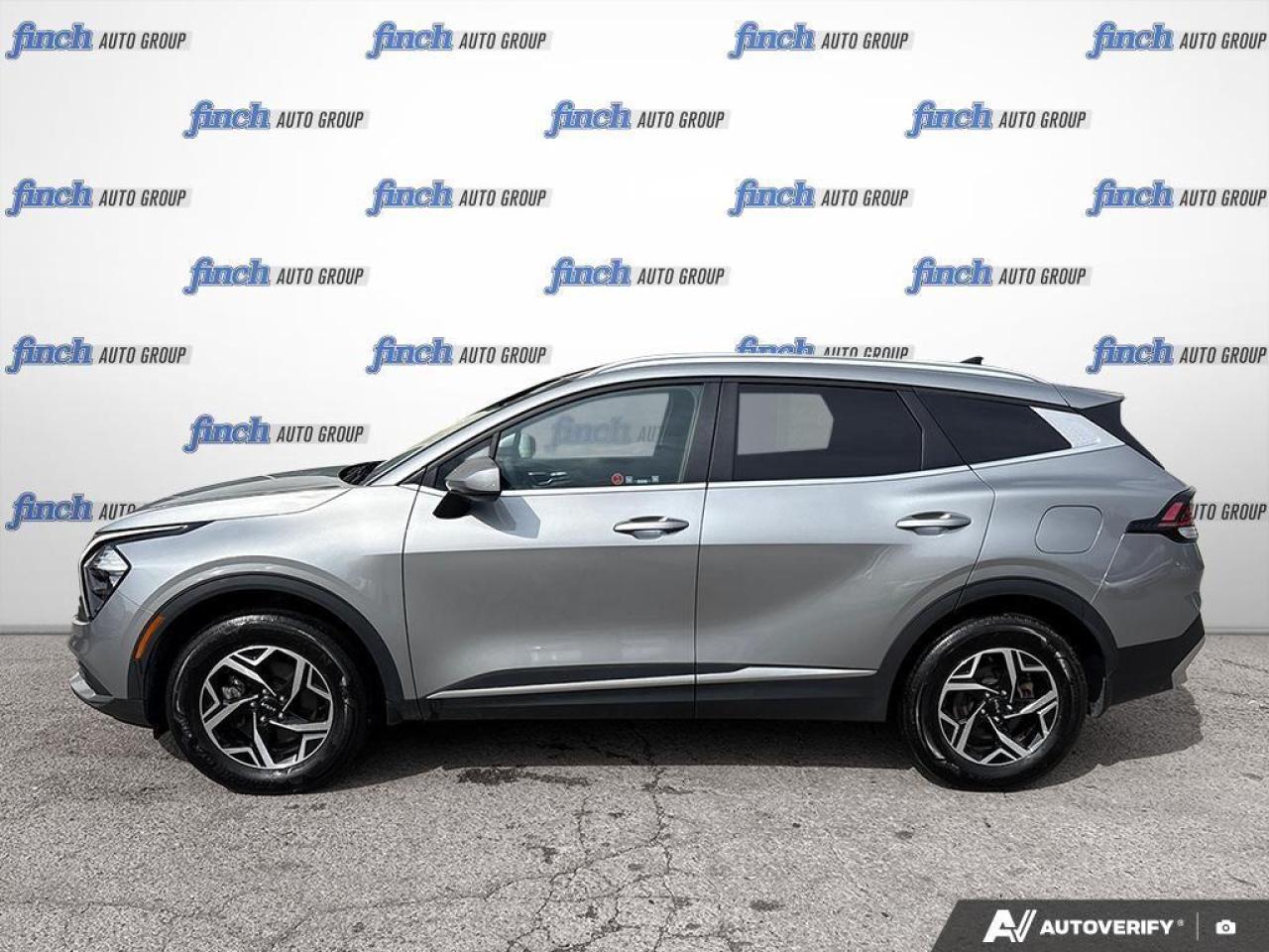 2023 Kia Sportage  Photo