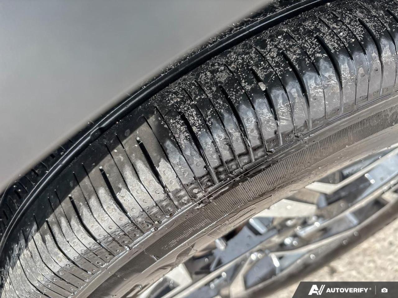 2023 Kia Sportage  Photo