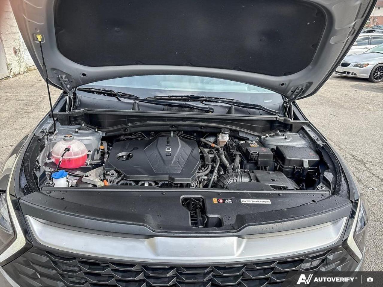 2023 Kia Sportage  Photo