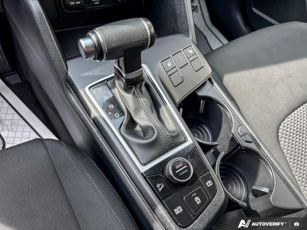 2023 Kia Sportage  Photo