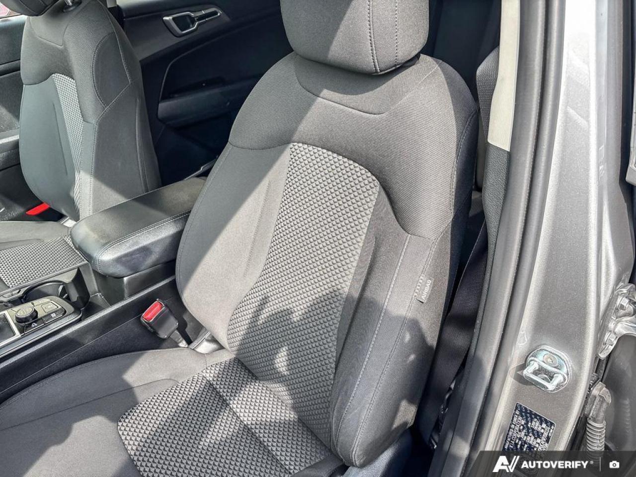 2023 Kia Sportage  Photo