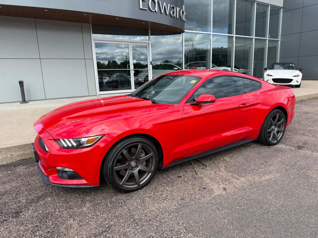 2016 Ford Mustang EcoBoost 2dr Fastback Photo