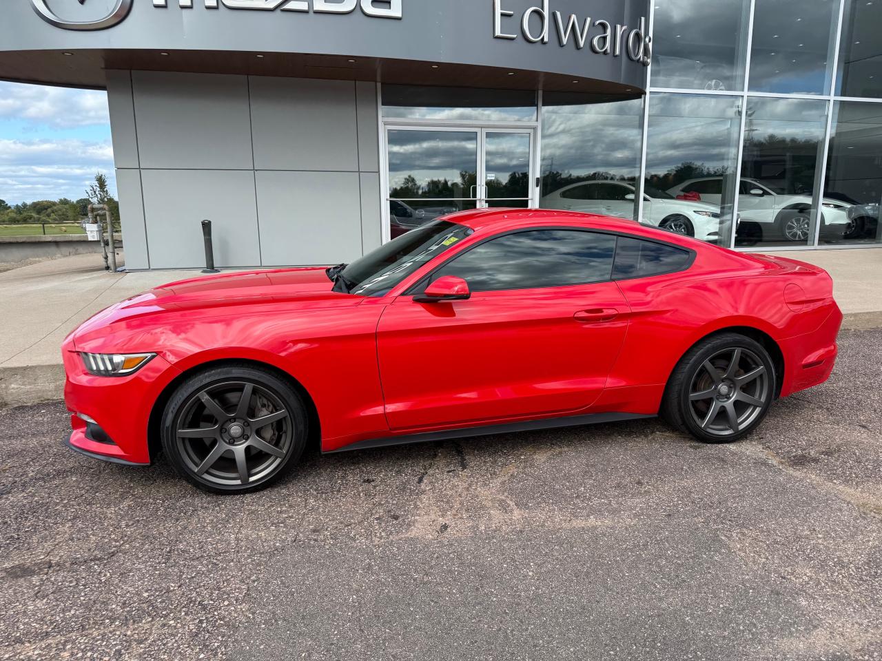 2016 Ford Mustang EcoBoost 2dr Fastback Photo