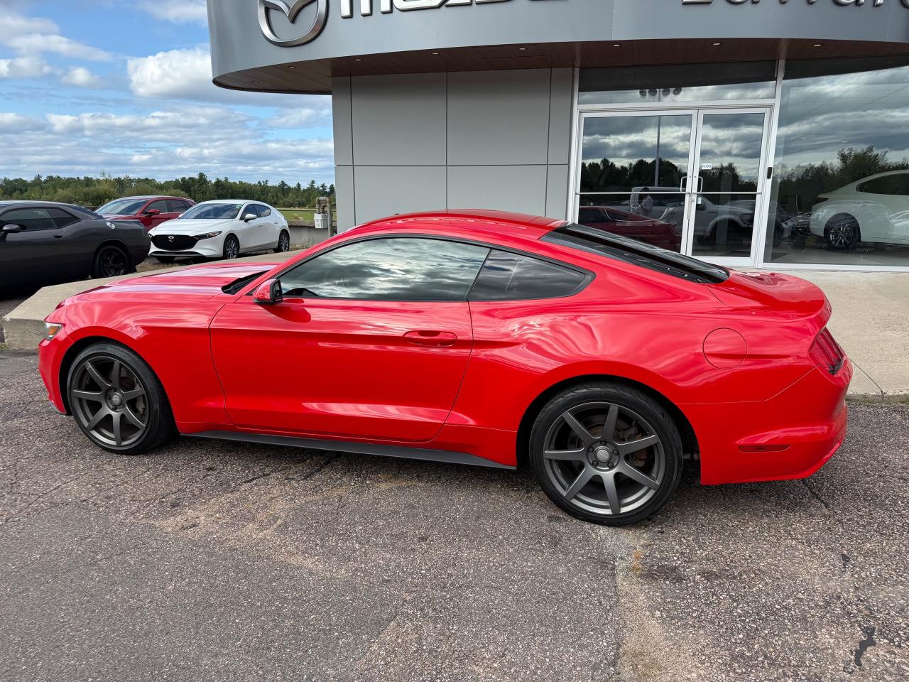 2016 Ford Mustang EcoBoost 2dr Fastback Photo