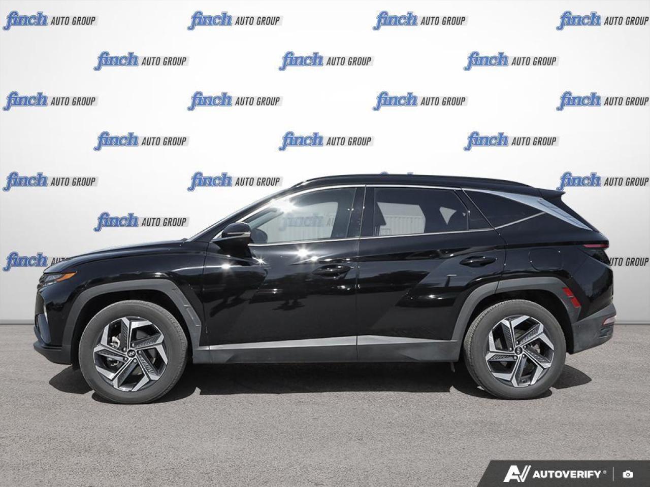 2024 Hyundai Tucson Hybrid Ultimate 4dr All-Wheel Drive Photo