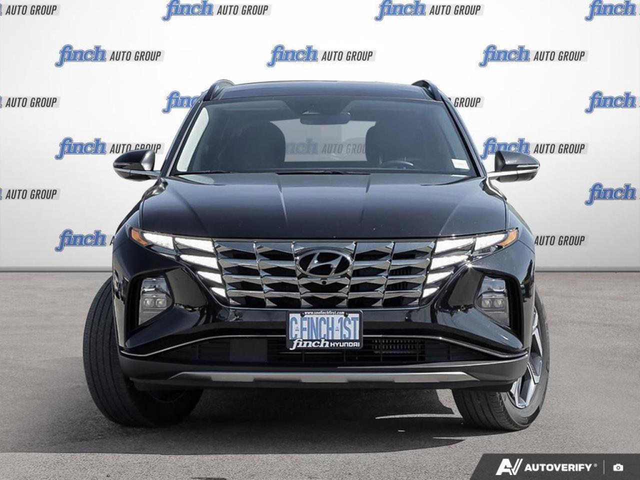 2024 Hyundai Tucson Hybrid Ultimate 4dr All-Wheel Drive Photo