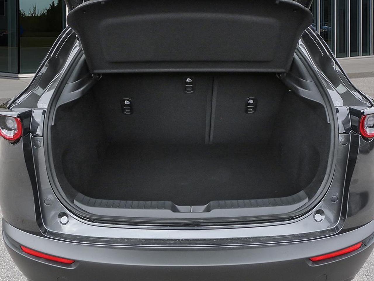 2025 Mazda CX-30 GX 4dr i-ACTIV All-Wheel Drive Sport Utility Photo