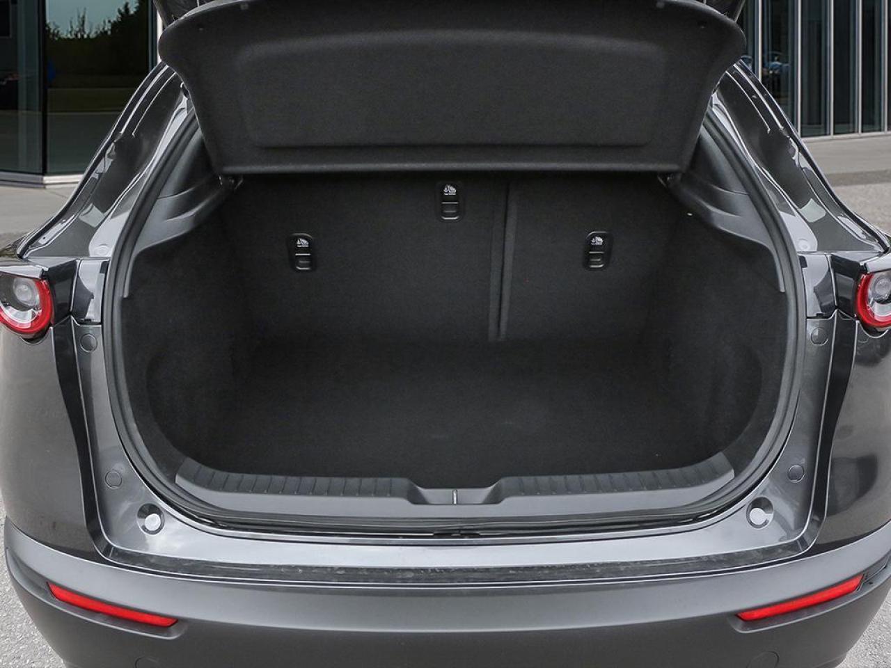 2025 Mazda CX-30 GX 4dr i-ACTIV All-Wheel Drive Sport Utility Photo