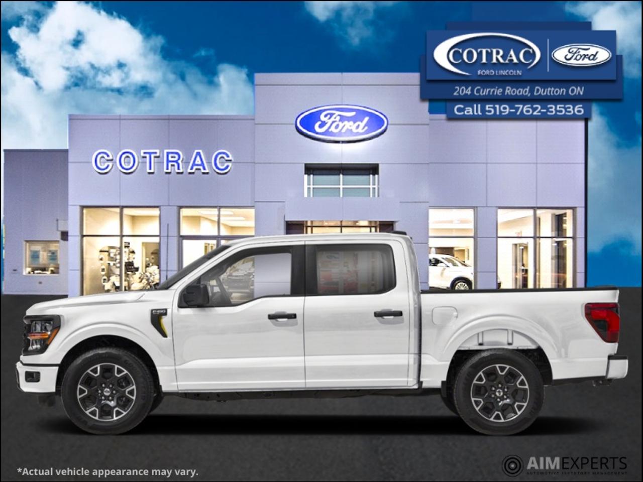2025 Ford F-150 STX Photo