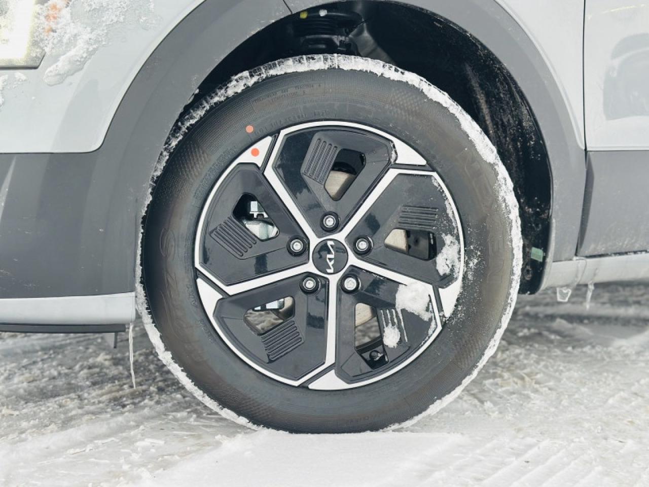 2026 Kia NIRO LX Photo