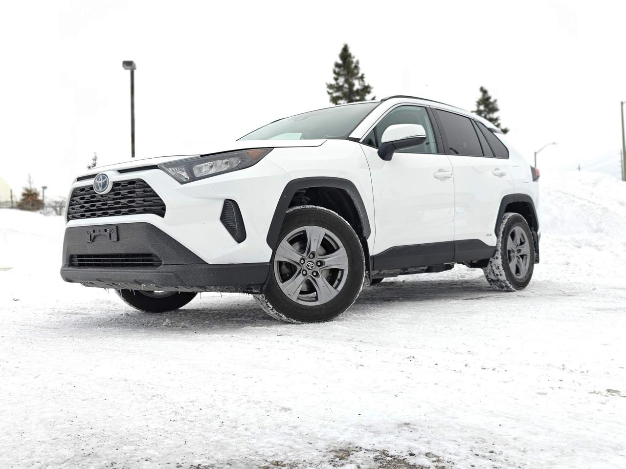 2022 Toyota RAV4 Hybrid LE 4dr All-Wheel Drive Photo
