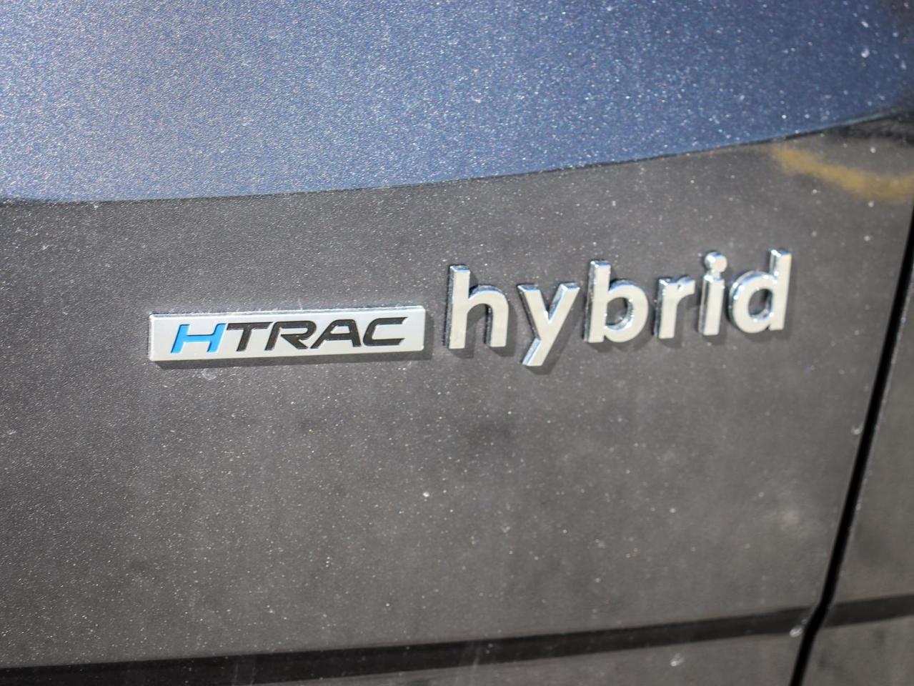 2024 Hyundai Tucson Hybrid N-Line 4dr All-Wheel Drive Photo