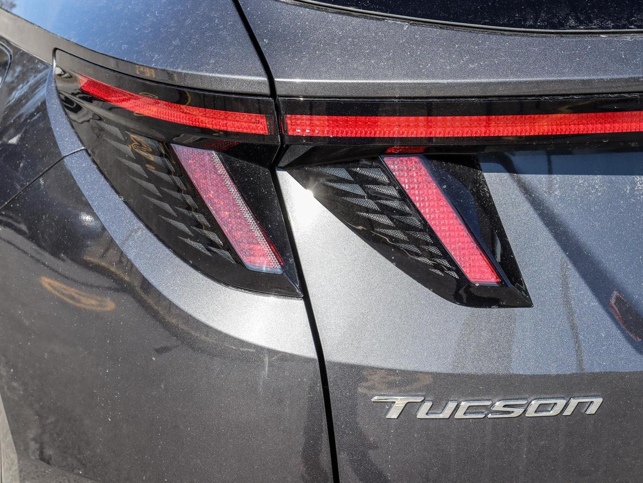 2024 Hyundai Tucson Hybrid N-Line 4dr All-Wheel Drive Photo