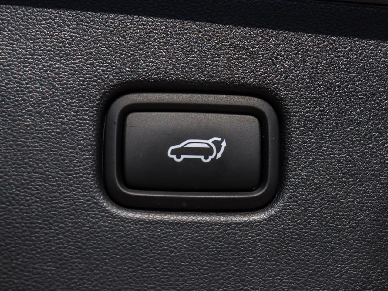 2024 Hyundai Tucson Hybrid N-Line 4dr All-Wheel Drive Photo