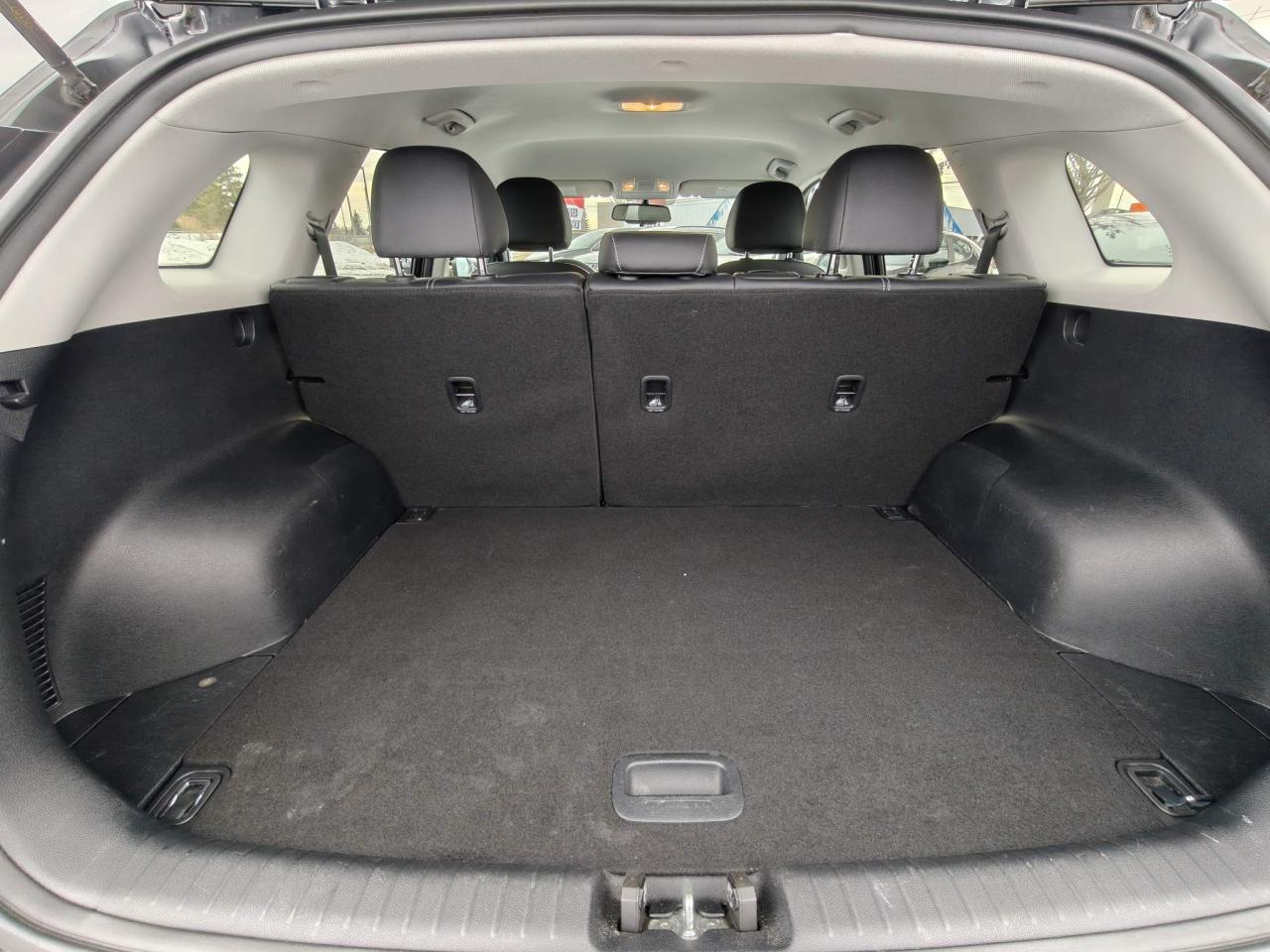 2022 Kia Niro EV EX 4dr Front-Wheel Drive Sport Utility Photo