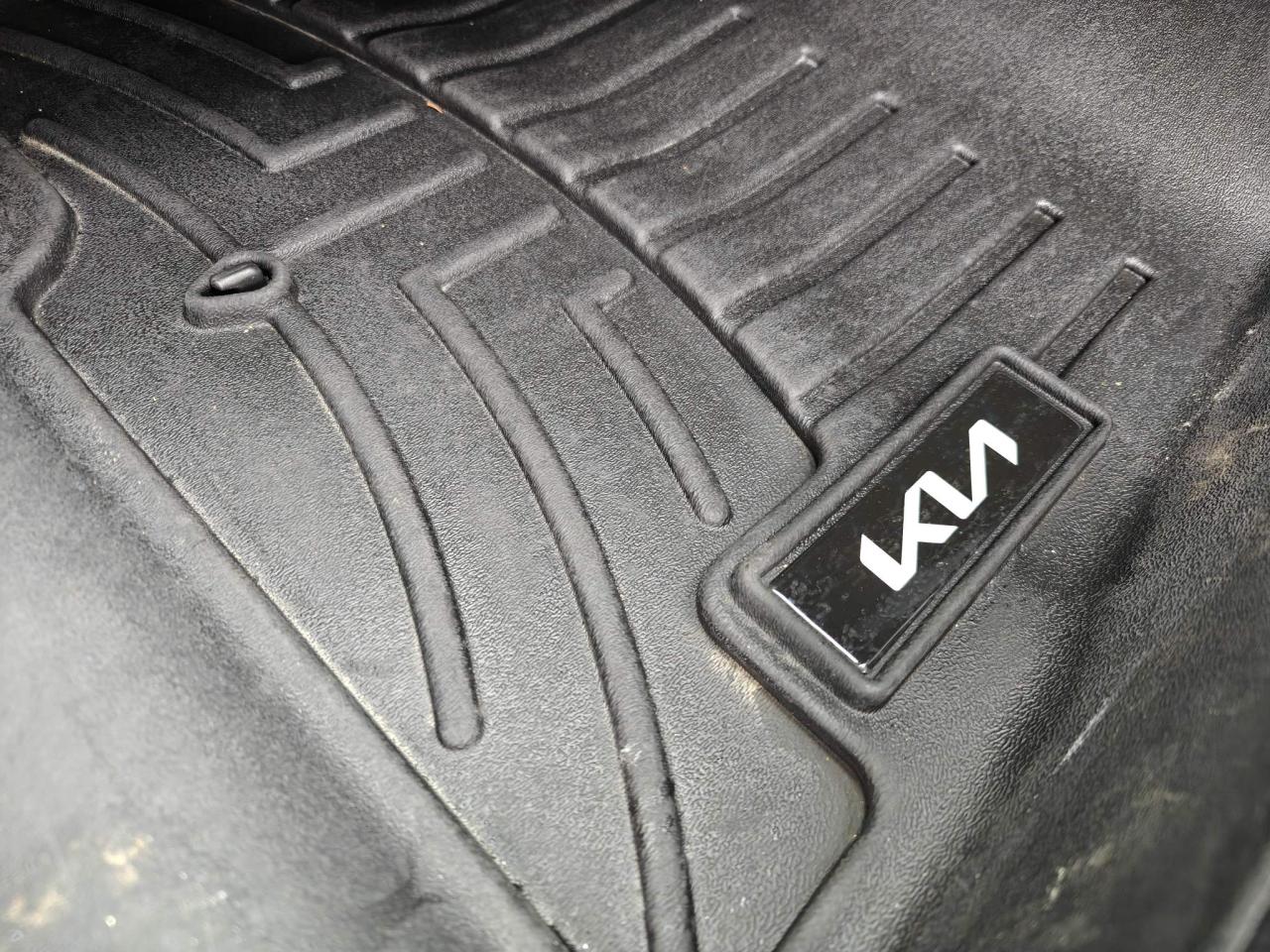 2022 Kia Niro EV EX 4dr Front-Wheel Drive Sport Utility Photo