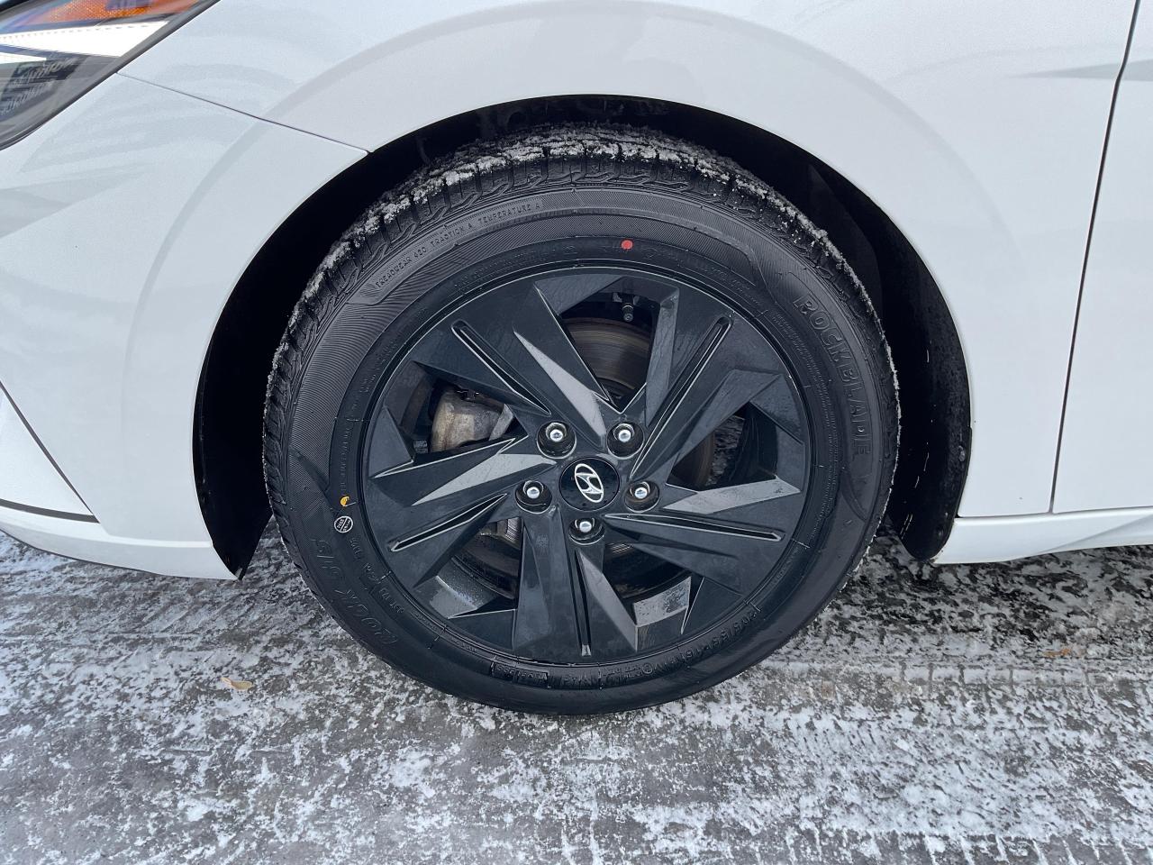 2023 Hyundai Elantra  Photo