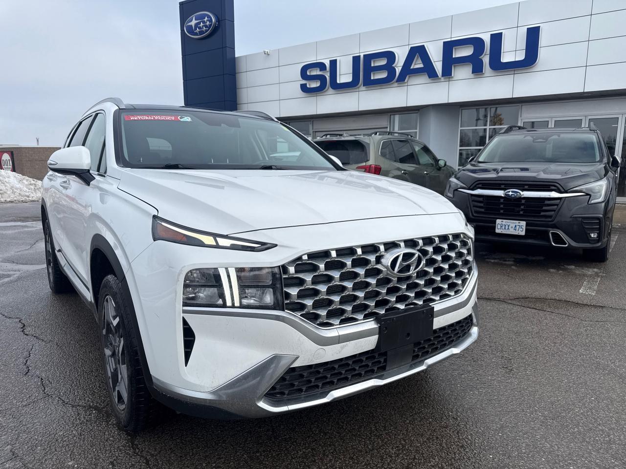 2023 Hyundai Santa Fe Plug-In Hybrid Luxury 4dr All-Wheel Drive Photo